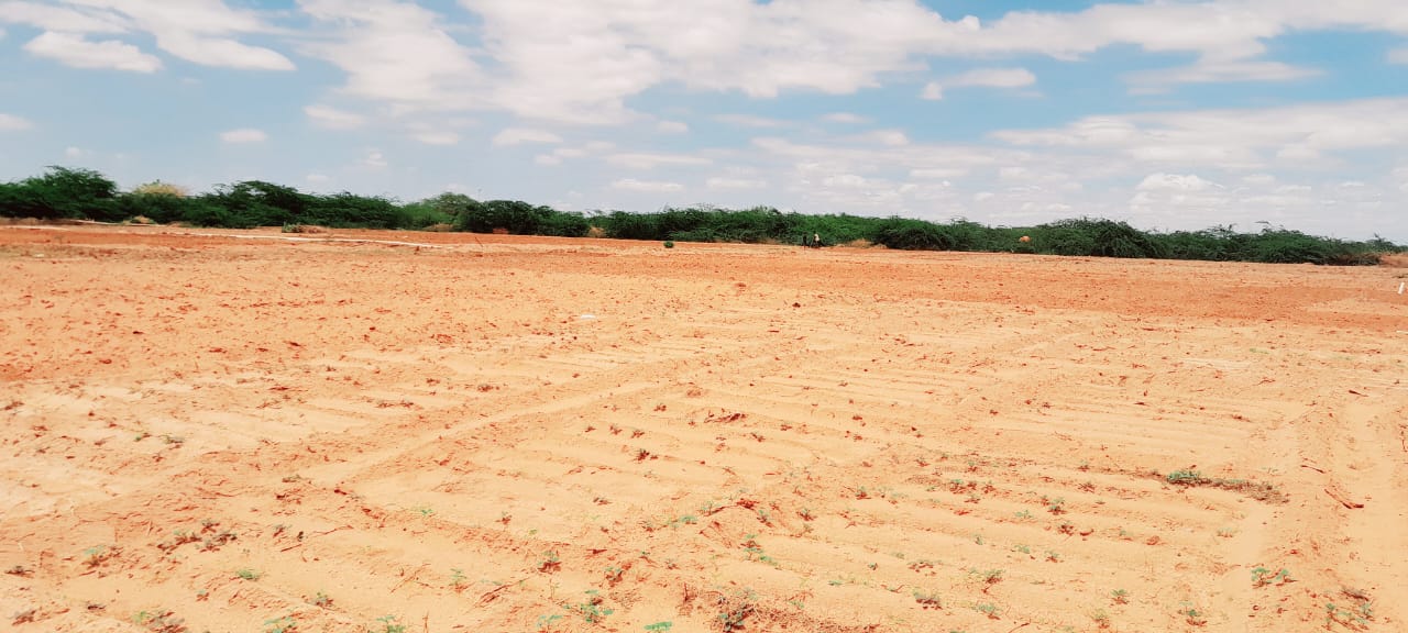 Land being prepared for the second HDPN season in Dolow