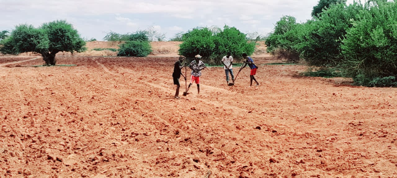 Farmers tilling the soil with hand tools in Dolow