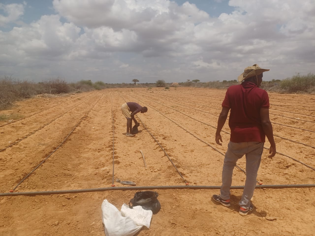 HCG field coordinator and team servicing the drip irrigation system
