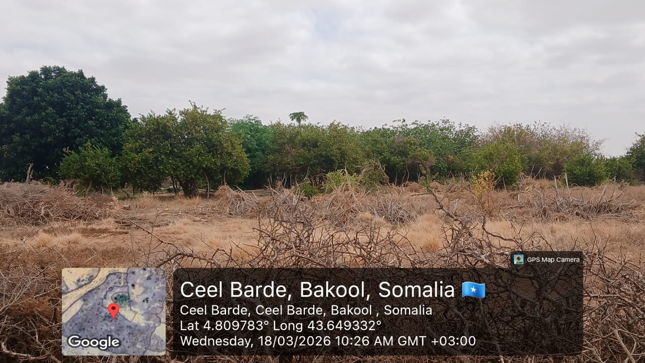 Elbarde Rangeland