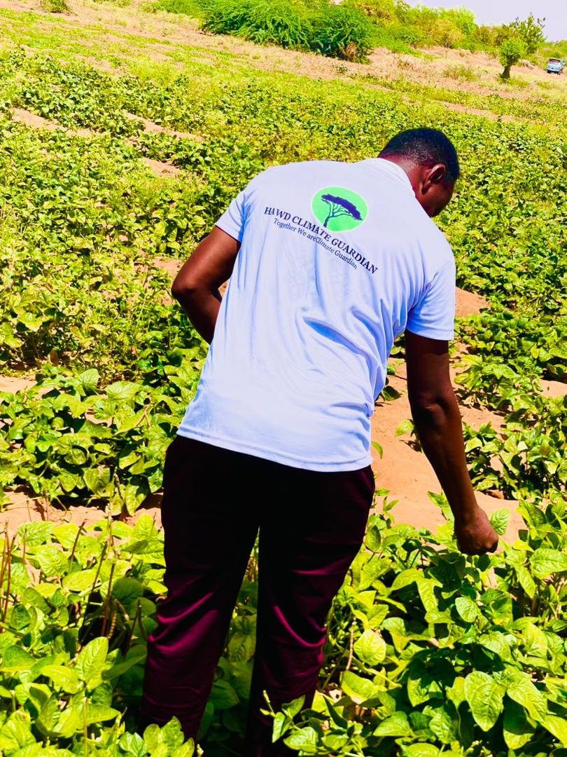 HDPN Pilot Project Transforms Agriculture in Dolow District