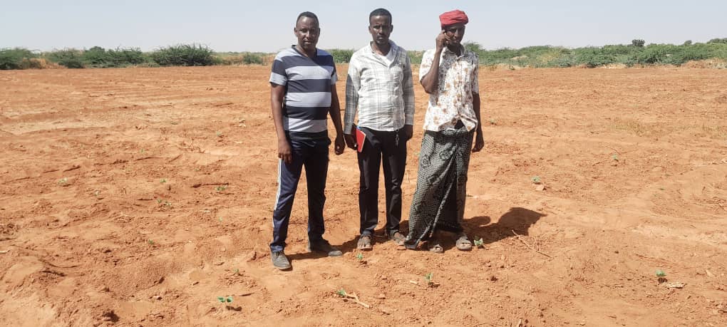 HCG team and community leaders at the land preparation site.