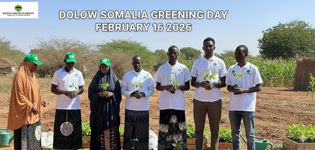Dolow Somalia Greening Day
