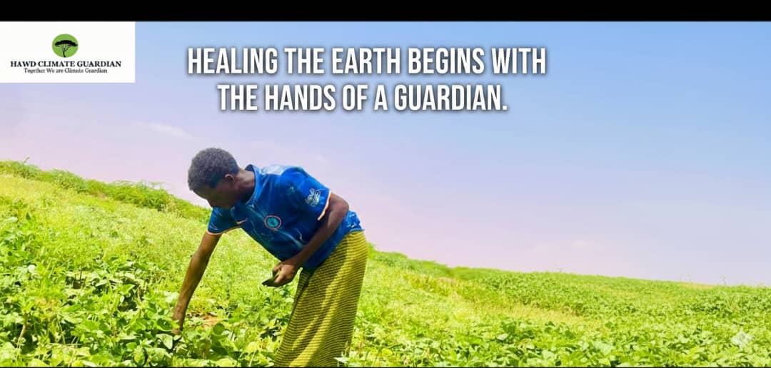 Healing the earth - guardian at work