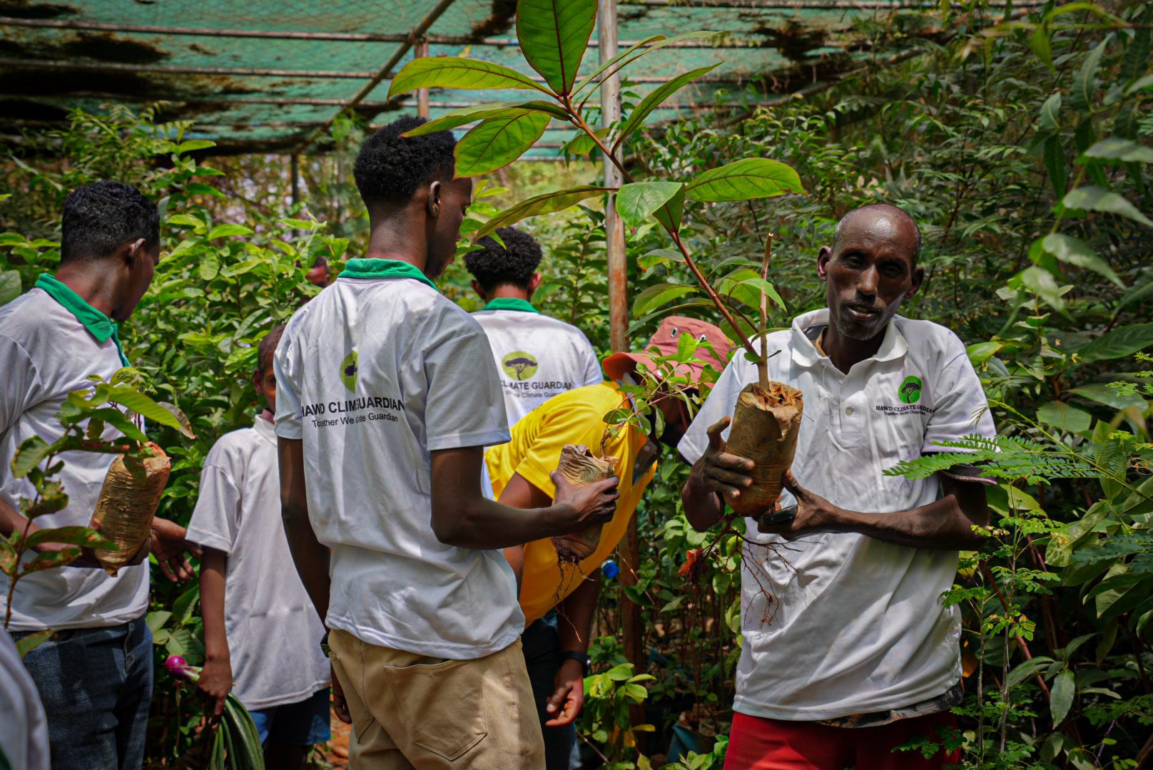 Reforestation & Energy Transition