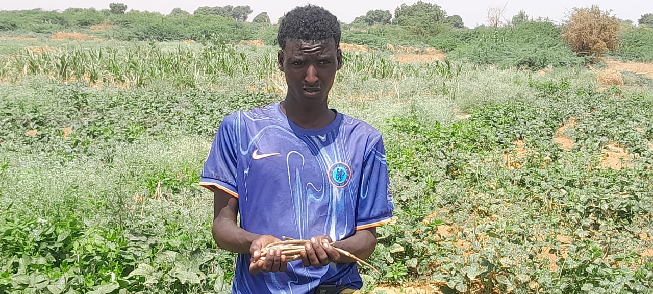 A young farmer displays harvested seeds from the pilot fields.